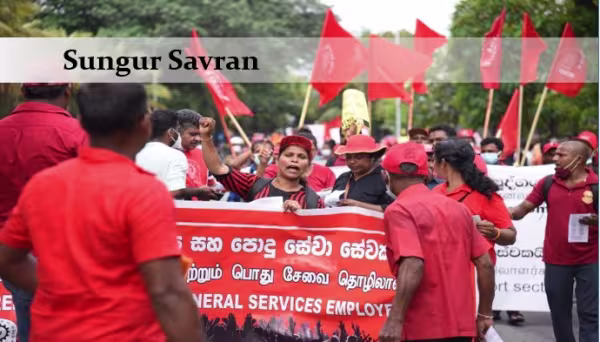 sungursavransrilanka.jpg