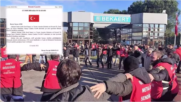 bekaertgrevi.jpg