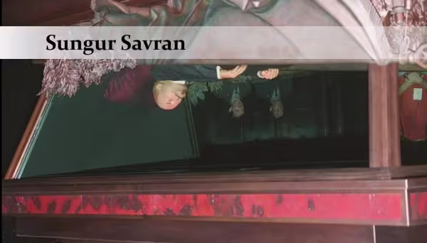 sungursavrankose.jpg