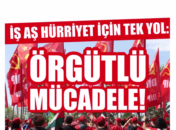 basyazi8.png