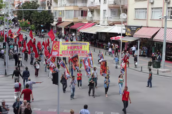 ant1.jpg