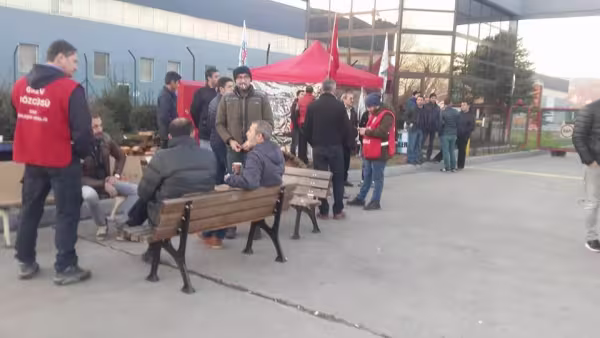 bekaert1.jpg