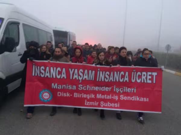 emis_yazisi_gorsel.jpg