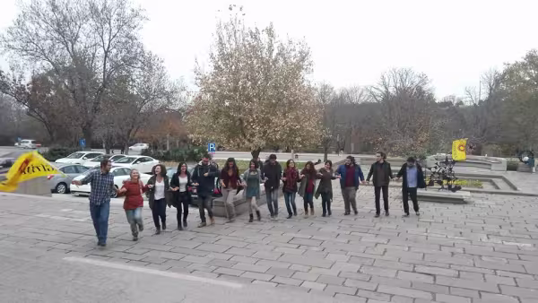 halay.jpg
