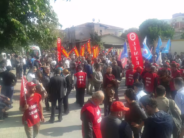 kartal.jpg