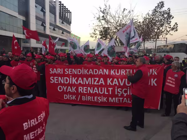 kurtulduk.jpg
