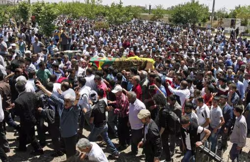 lice_haziran_2014.jpg