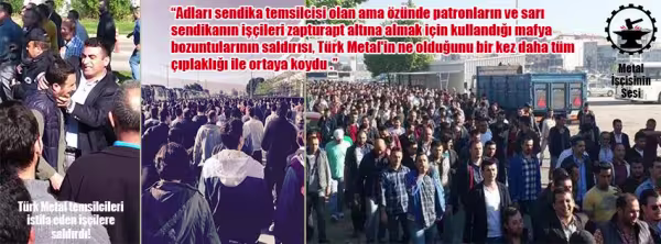 mis.jpg