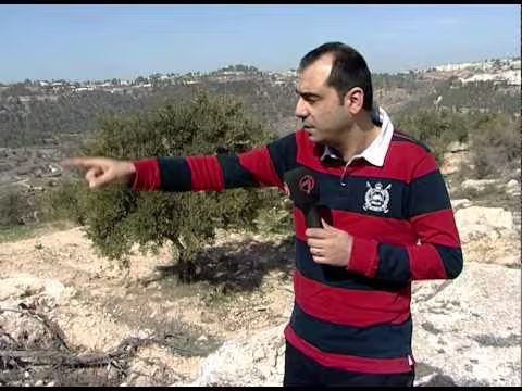 taha_dagli.jpg