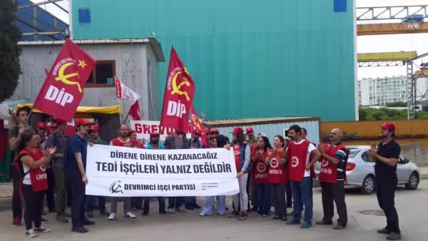 tedi1.jpg