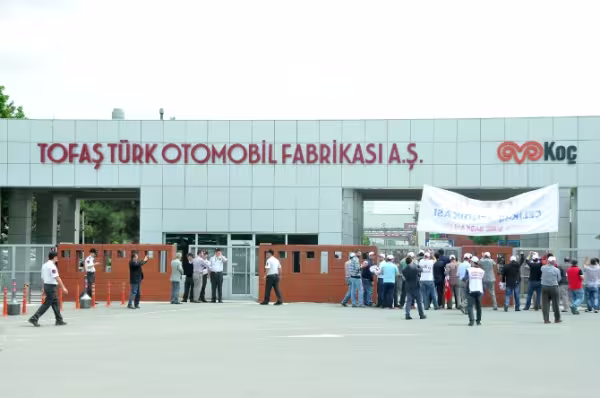 tofas.jpg