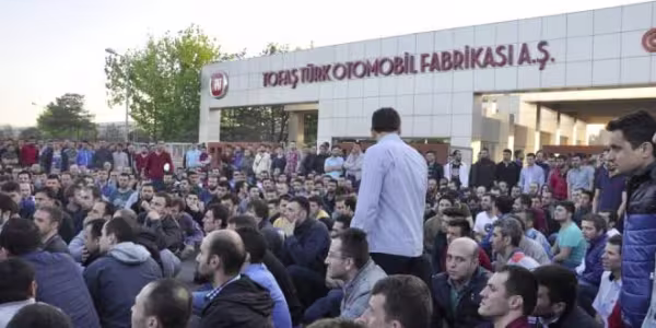 tofas2.jpg