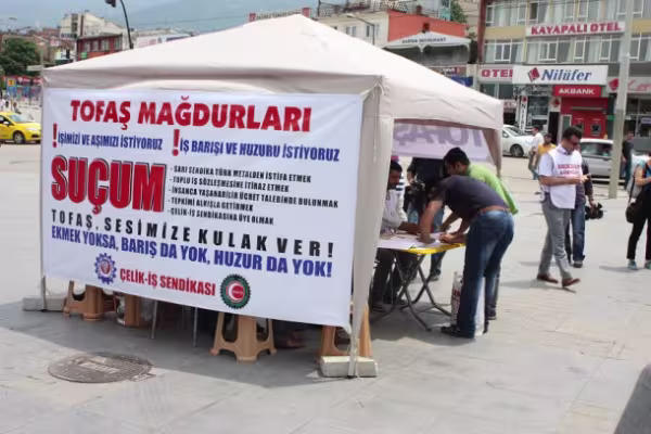 tofas.jpg