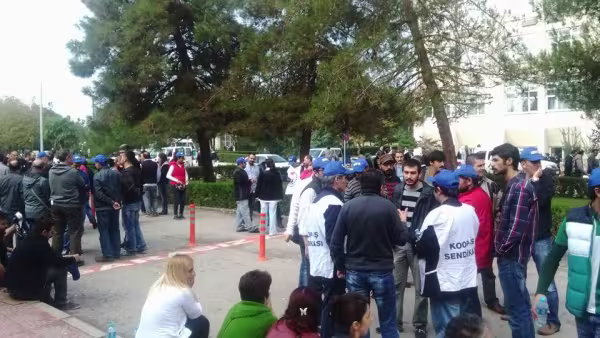 uludag-grev.jpg