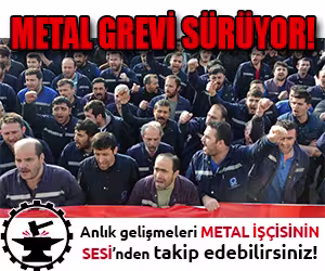 son5.jpg