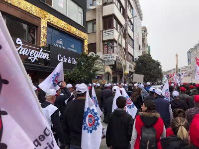 celik.jpg