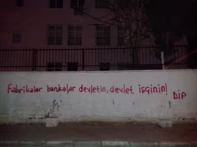 picture28.jpg