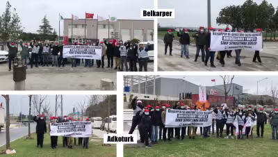 belkarperveadkoturk.jpg
