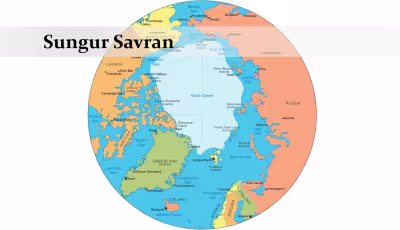 sungursavran.jpg