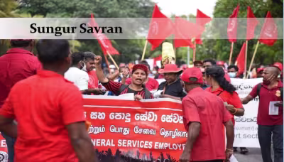 sungursavransrilanka.jpg
