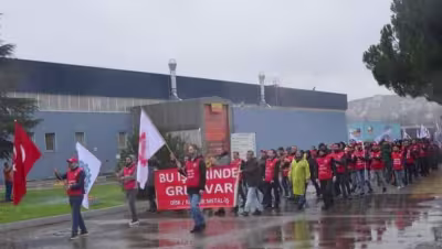 bekaertgrev.jpeg