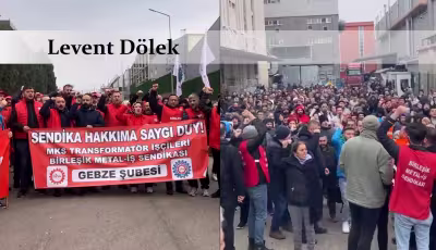 matamks.jpg