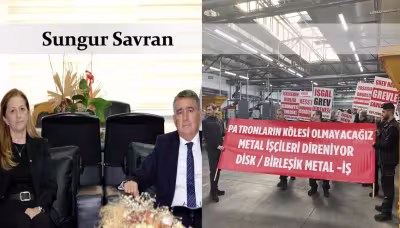 sungursavransubat2024.png