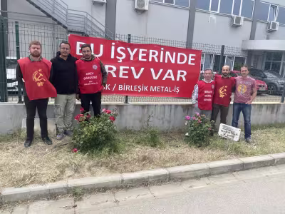purmo.jpeg