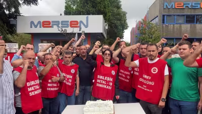 mersen2.jpg