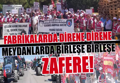 basyazigorselieylul180.jpg