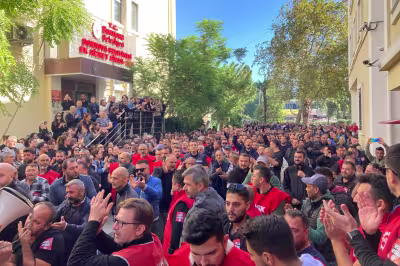 bornova-bel.jpg