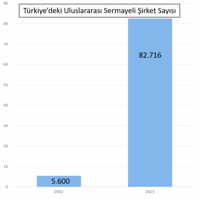 turkiyedekiuluslararasisermayelisirketsayisi.png
