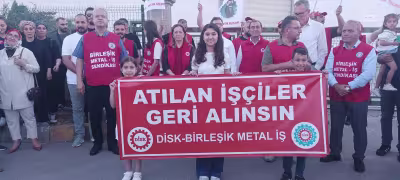 sag.jpg